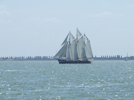 Segelschiff Grootvorst