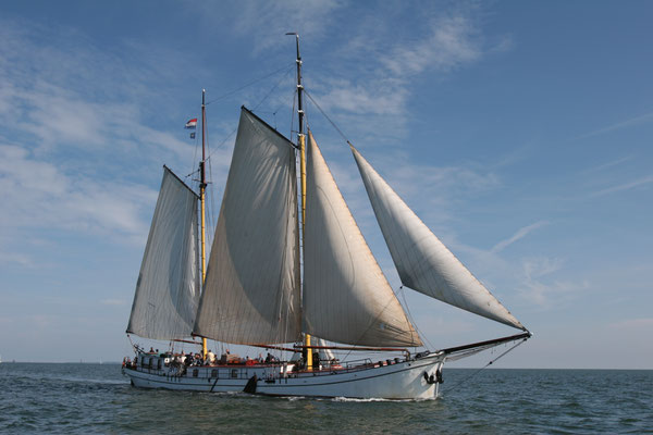 Segelschiff Actief unter Segeln