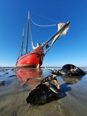 Segelschiff Rode Swan