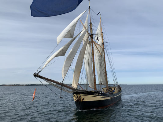 Segelschiff Zuiderzee