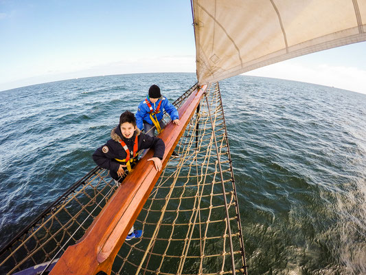 Segelschiff Swaensborgh