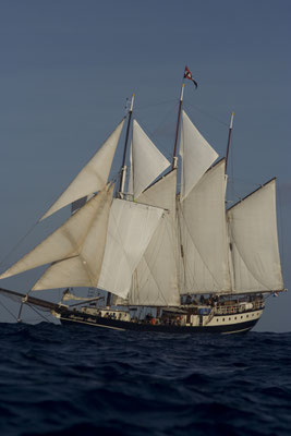 Segelschiff Regina Maris