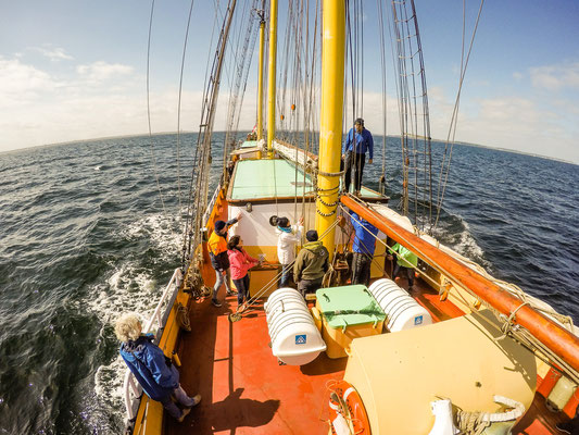 Segelschiff Swaensborgh