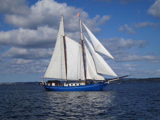 Segelschiff Stortemelk