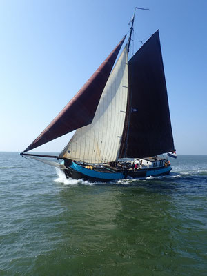 Segelschiff Confiance