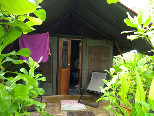 Darf ich vorstellen: mein Zelt Joy - mein Zuhause für 7 Nächte im Camp Poe