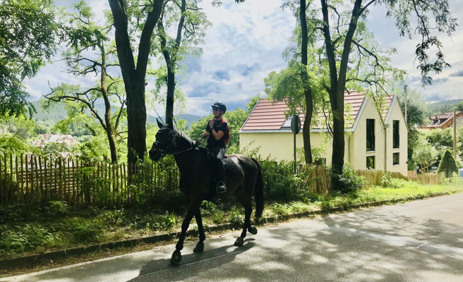 Neues Ferienhaus in der Burgstrasse Altleiningen