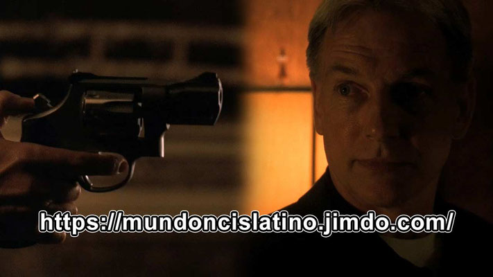 Ncis Criminologia Naval Episodio 5x19 Audio Latino Mundo Ncis Audio Latino