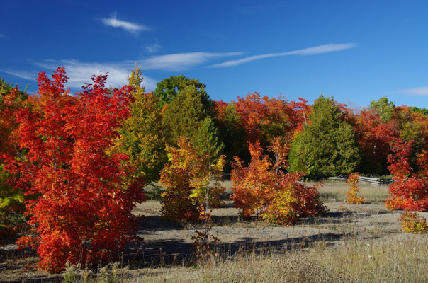 Manitoulin Island
