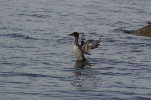 und den Abend am Ufer verbracht