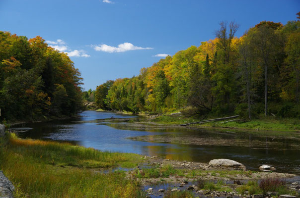 an den Sauble Falls