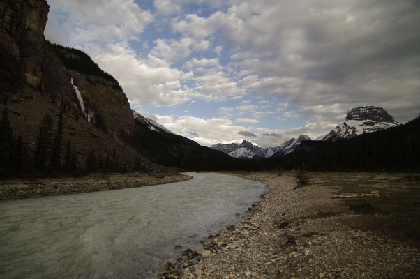 Yoho River mit Takakkaw Falls
