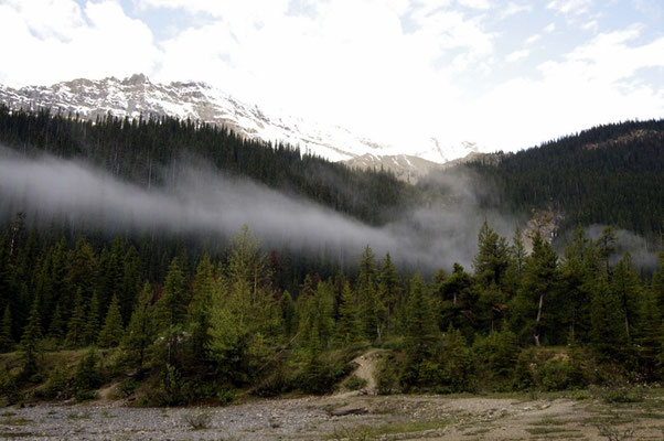 Morgenstimmung am Yoho