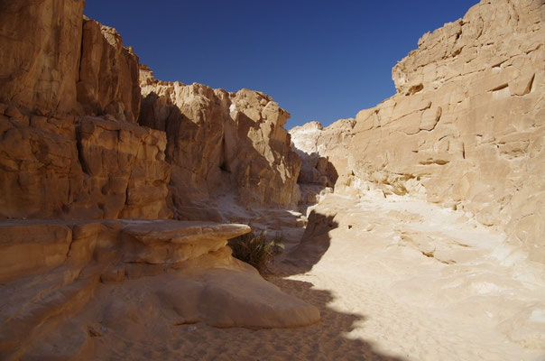 Whithe-Canyon