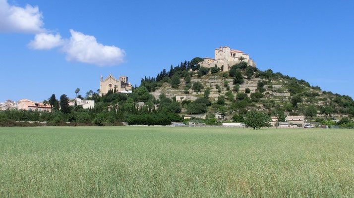 Arta