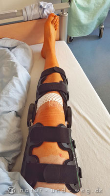 Knorpelschaden Im Knie Und Nun Natur Und Weg