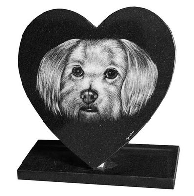 Animaux Graves Gravure Artistique