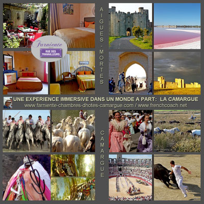 les vacances chez Gudrun , chambres d'hôtes conviviales à Aigues-Mortes en Camargue
