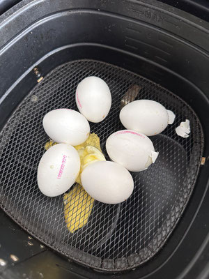 Eier mit Raumtemperatur platzen bei der Einstellung!