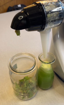 Slow Juicer