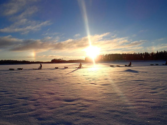 Hundeschlittentouren durch die unberührte Wildnis Lappland