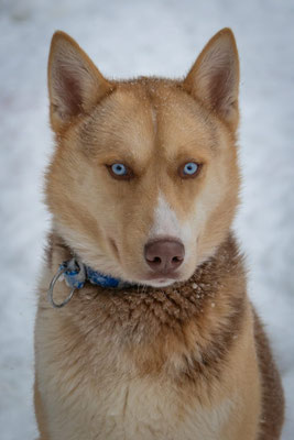 HAZEL, geb 05.05.2024