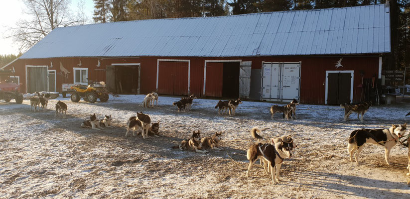 Herbsttraining in Lappland