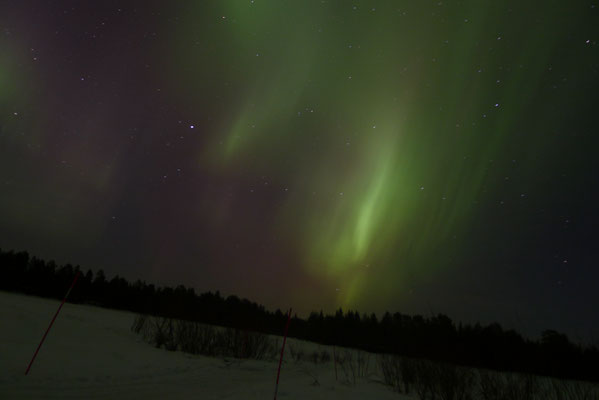 Nordlicht Alarm in Schweden