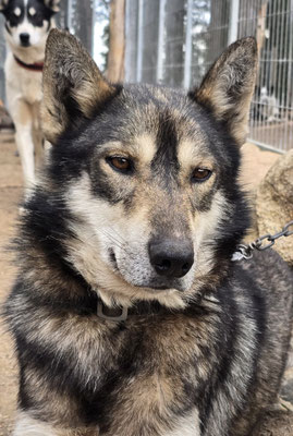 BOOMER, geb 23.10.2023