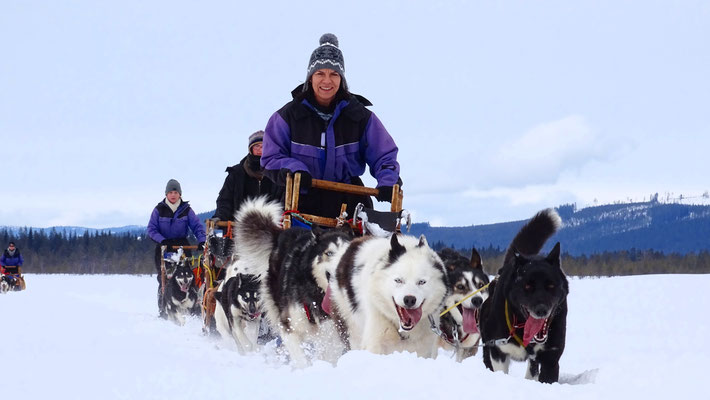 Huskytouren in Schweden