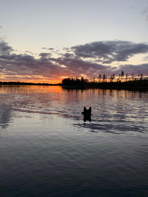 Tolle Sonnenuntergänge in Lappland