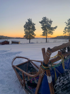 Hundeschlittentouren in Schweden