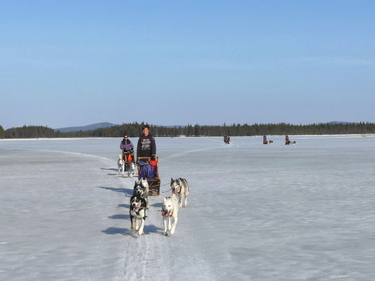 Geführte Huskytouren