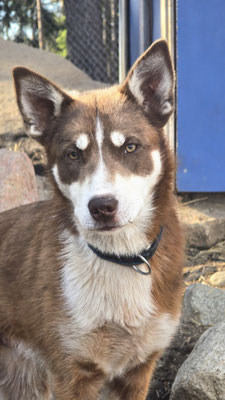BRUNO, geb 15.06.2025