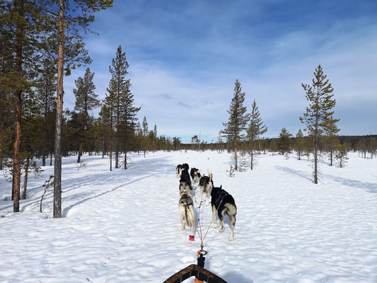 Skandinavien Winterurlaub