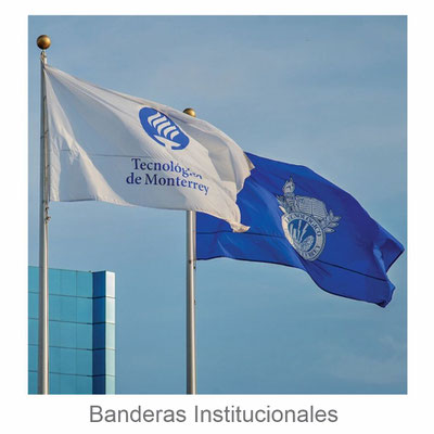 Banderas Institucionales
