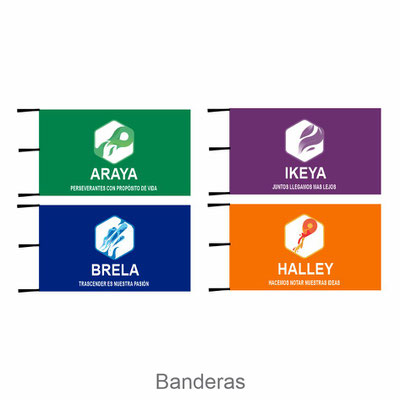 Banderas Tecmilenio