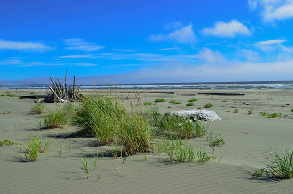 Vancouver Island , Long Beach, Canada