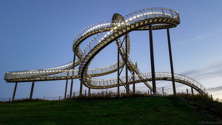 Duisburg, Tiger & Turtle