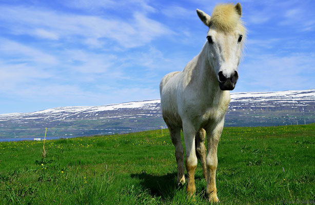 Akureyri, Island