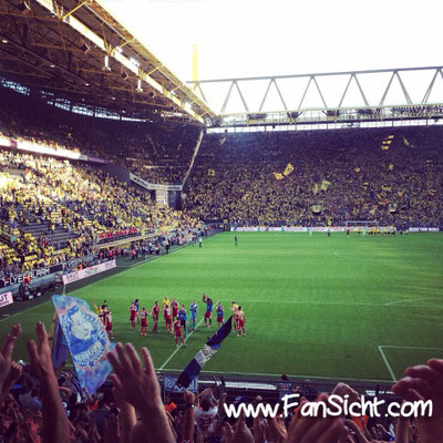 Block 8 (Gäste-Stehplatz). Foto: Marcus Twellmeyer (via Facebook).