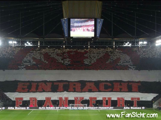 Deutsche Bank Park Stadion Frankfurt, Sicht aus Block 16A