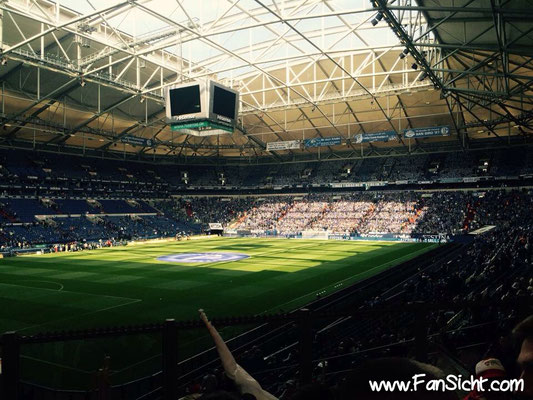 Sicht auf das Spielfeld in der Veltins Arena Gelsenkirchen Schalke 04 aus Block V Gäste Stehplatz