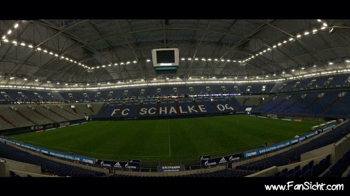 Sicht auf das Spielfeld in der Veltins Arena Gelsenkirchen Schalke 04 aus VIP Bereich
