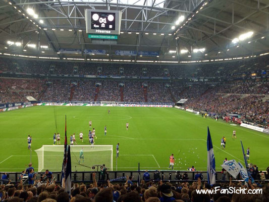 Sicht auf das Spielfeld in der Veltins Arena Gelsenkirchen Schalke 04 aus Block N4