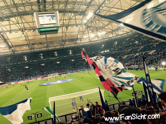 Sicht auf das Spielfeld in der Veltins Arena Gelsenkirchen Schalke 04 aus Block N2