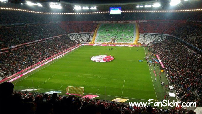 Sicht auf das Spielfeld aus Gästeblock Block 341 Reihe 8 in der Allianz Arena des FC Bayern München