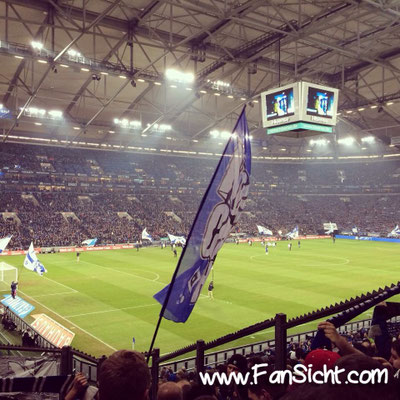 Sicht auf das Spielfeld in der Veltins Arena Gelsenkirchen Schalke 04 aus Block V Gäste Steher