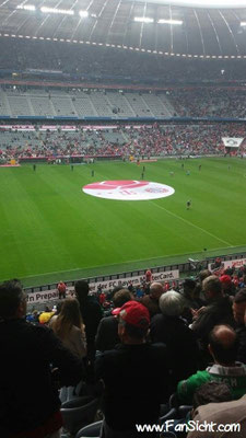 Sicht auf das Spielfeld aus Block 229 Reihe 9 in der Allianz Arena des FC Bayern München