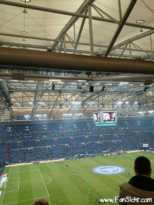 Sicht auf das Spielfeld in der Veltins Arena Gelsenkirchen Schalke 04 aus Block 57 Gäste Sitze